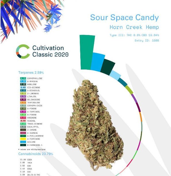 Award Winning Strains - GTR Seeds