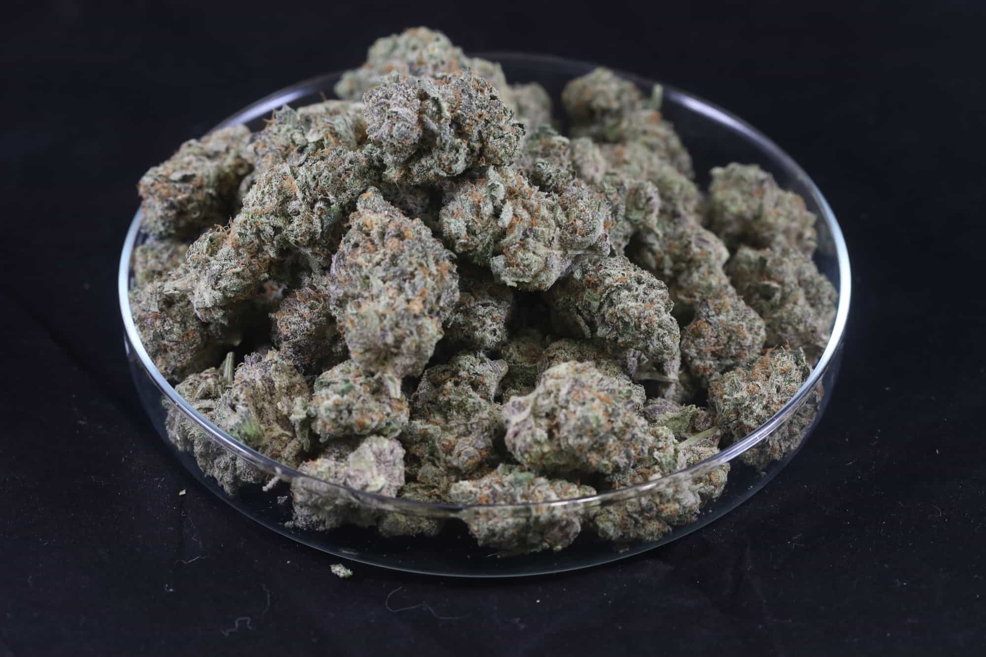 Beyond the Bong: The Potential Benefits Of THC - GTR Seeds