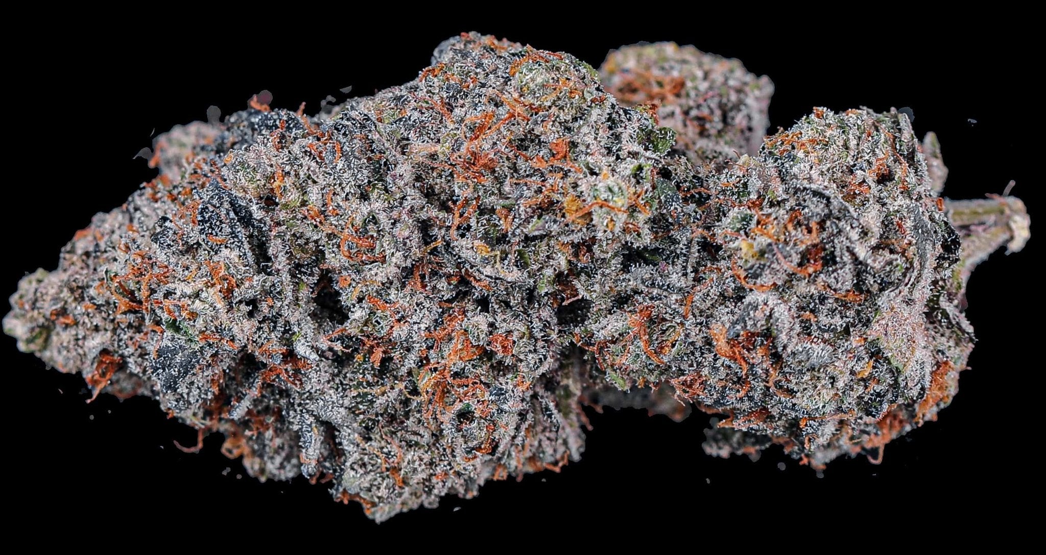 Is THCa Legal Hemp? - GTR Seeds