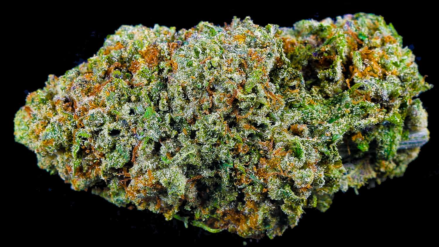 High THCA Seeds - GTR Seeds