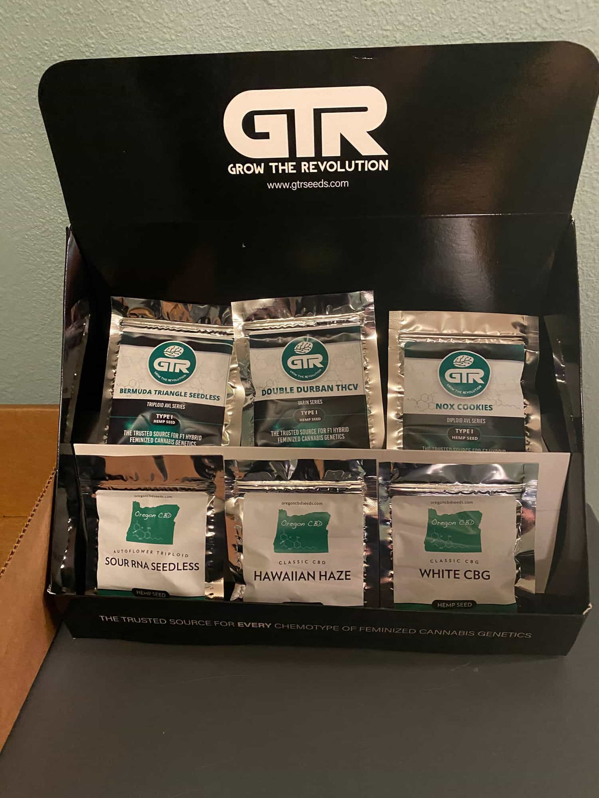 6 Standout Cannabis Seed Varieties from GTR Seeds: Our Customer Favorites - GTR Seeds