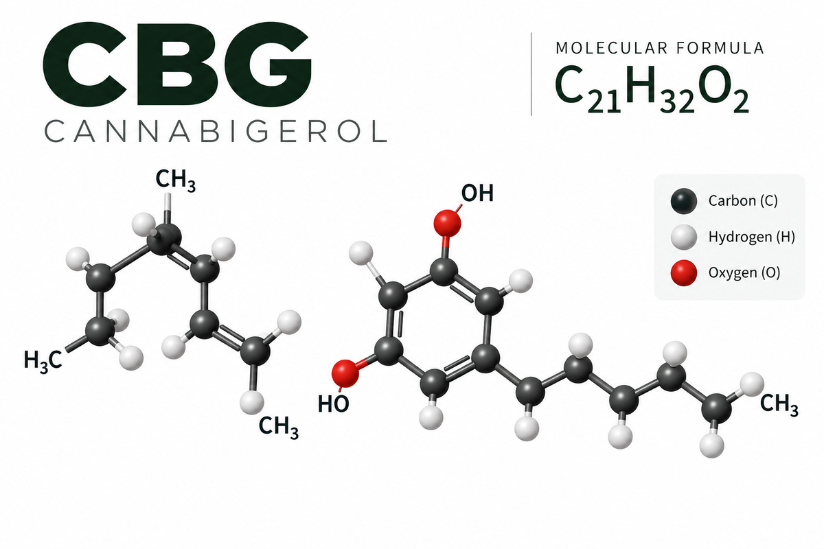 What Is CBG? Understanding Cannabigerol and the Science Behind High CBG Cannabis Seeds