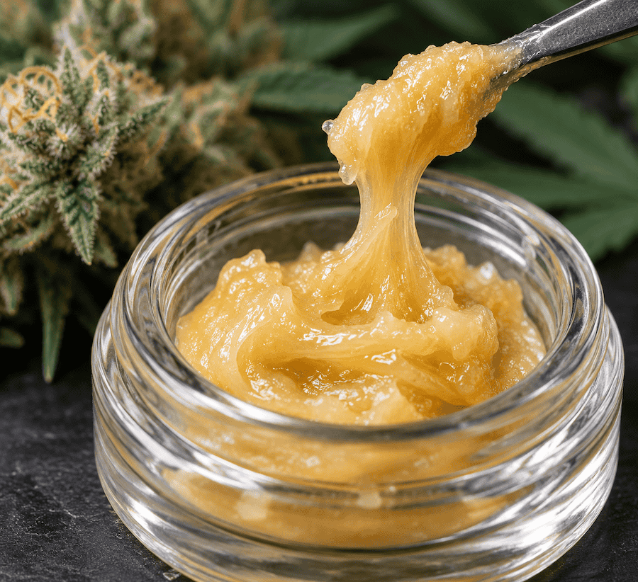 Breeding Cannabis Seeds for Hash Rosin Production Is Difficult - GTR Seeds