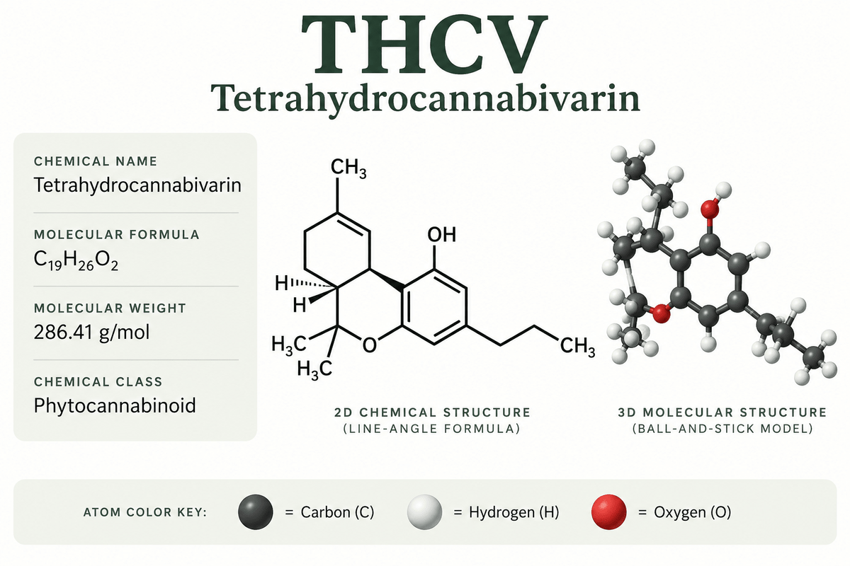 Bring on the V's - The making of Varin Rich Cannabis Seeds - GTR Seeds