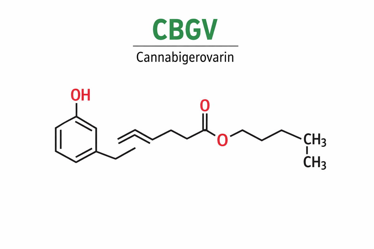 Rare Compounds CBGV: Unlocking One of Cannabis’ Rarest Cannabinoids – GTR Seeds