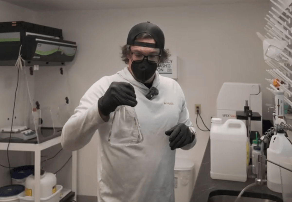 How to Make STS for Feminized Cannabis Seed Production - GTR Seeds