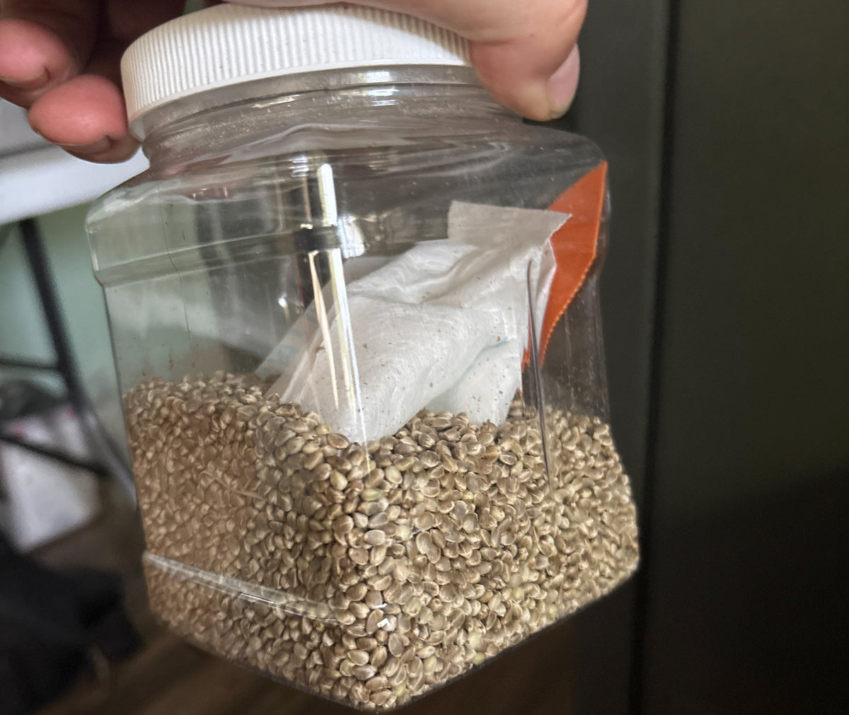 Will GTR Keep Selling Seeds in 2027? - GTR Seeds