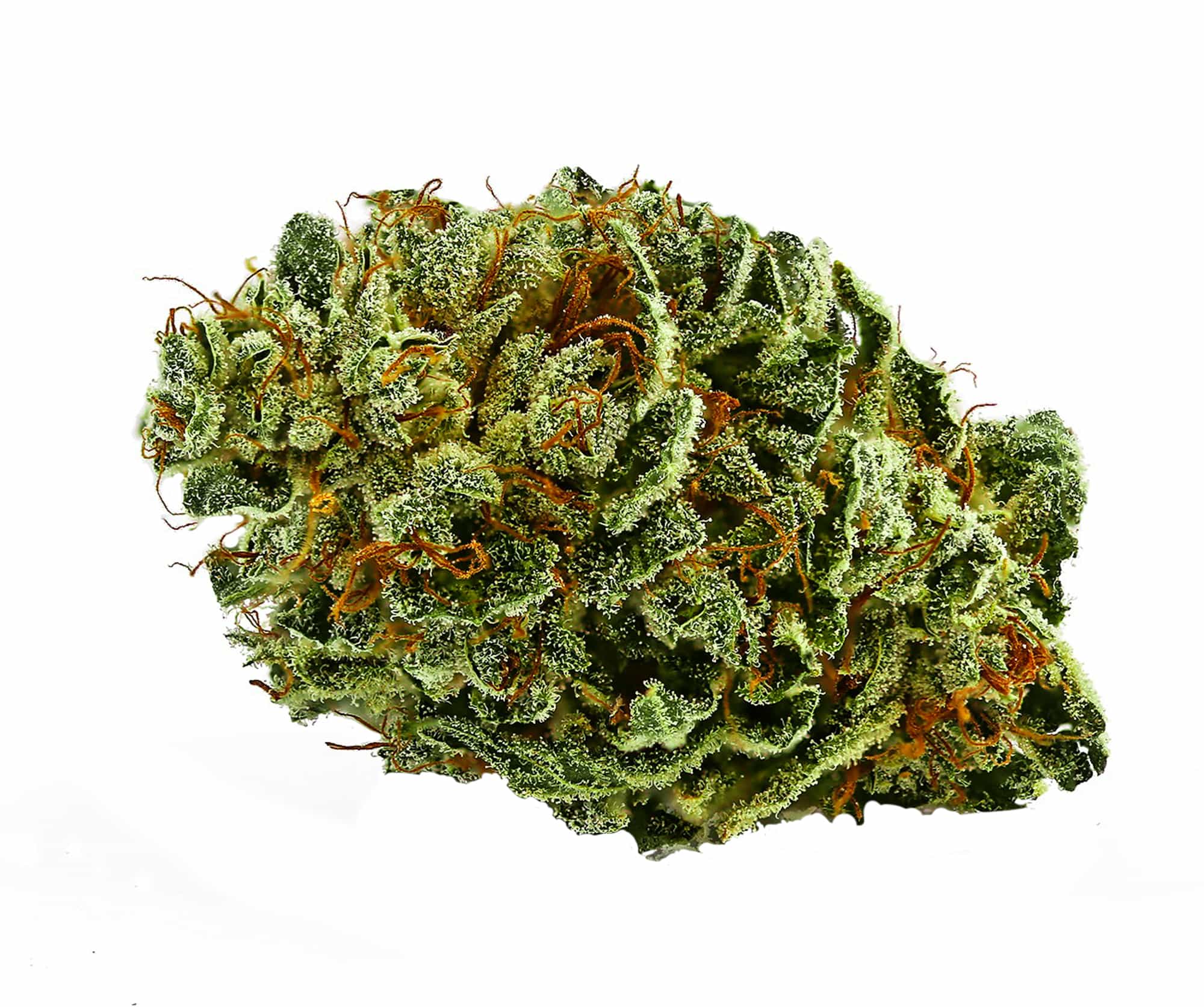 Best Selling CBG Seeds - GTR Seeds